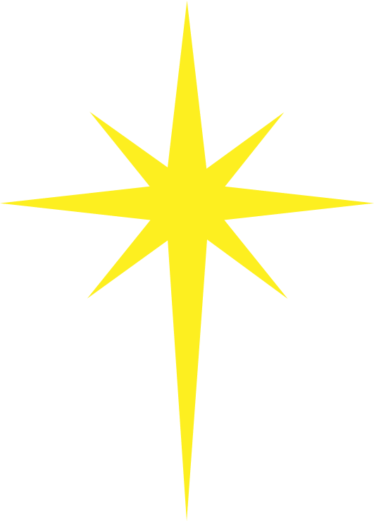 north star plumbing star logo