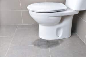 leaky toilet
